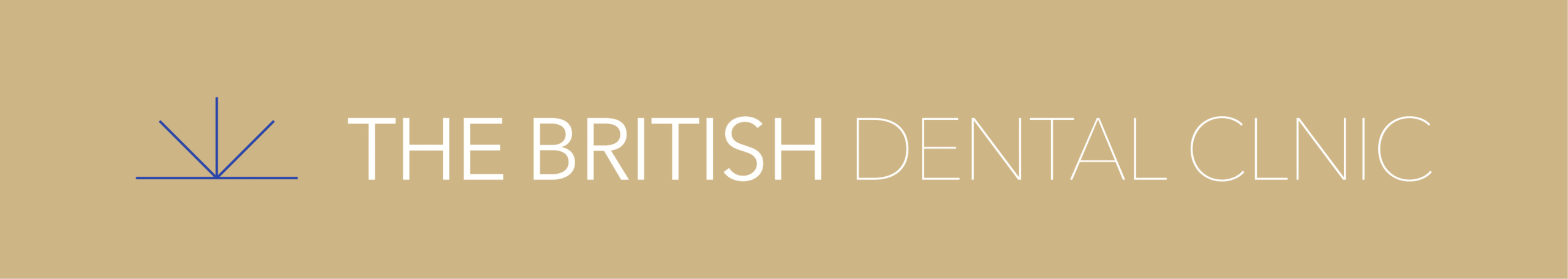 LOGO BDC HORIZT-V2